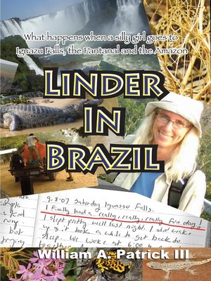 cover image of Linder in Brazil